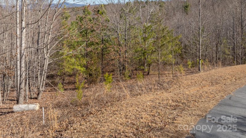 Property image 2 of Tbd Coal Pit Mountain Road in Grandview Peaks, Nebo, NC 28761