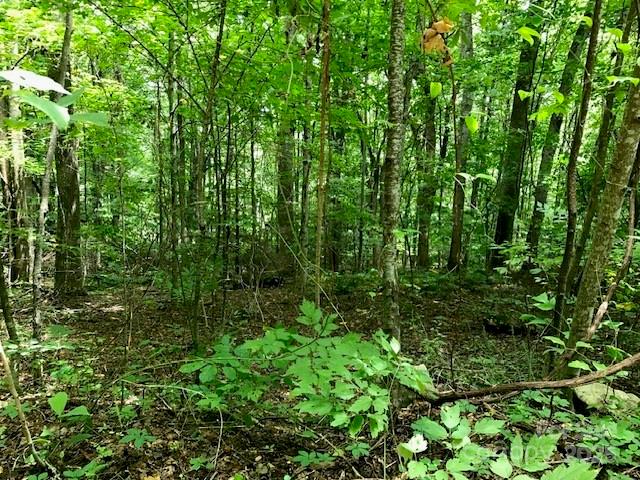 Property image 3 of 00 Red Oak Lane in Wildwood Acres, Burnsville, NC 28714