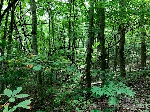 Property image 5 of 00 Red Oak Lane in Wildwood Acres, Burnsville, NC 28714