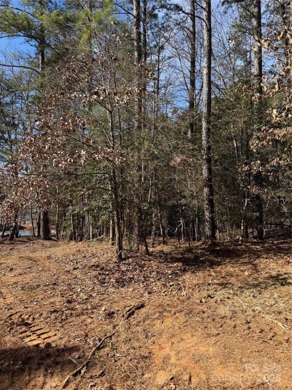 Property image 5 at 133 Eagle Chase Lane, Troutman, NC 28166