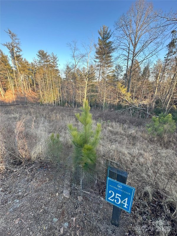 Property image 3 of 1631 Tbd Scenic Lane in The Waterfront Club, Granite Falls, NC 28630