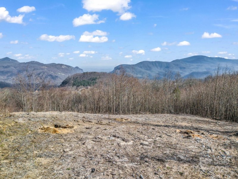 Property image 3 of 1233 Grand Oaks Drive in Grand Oaks, Hendersonville, NC 28792