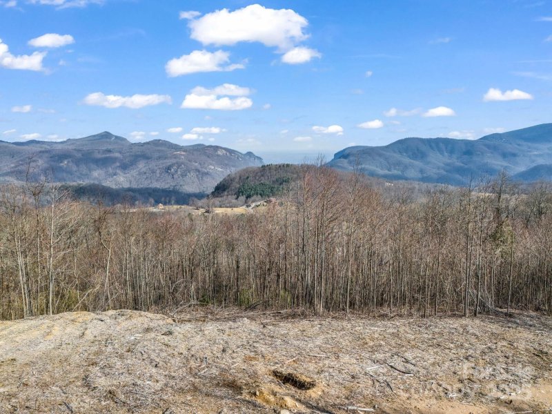 Property image 5 of 1233 Grand Oaks Drive in Grand Oaks, Hendersonville, NC 28792