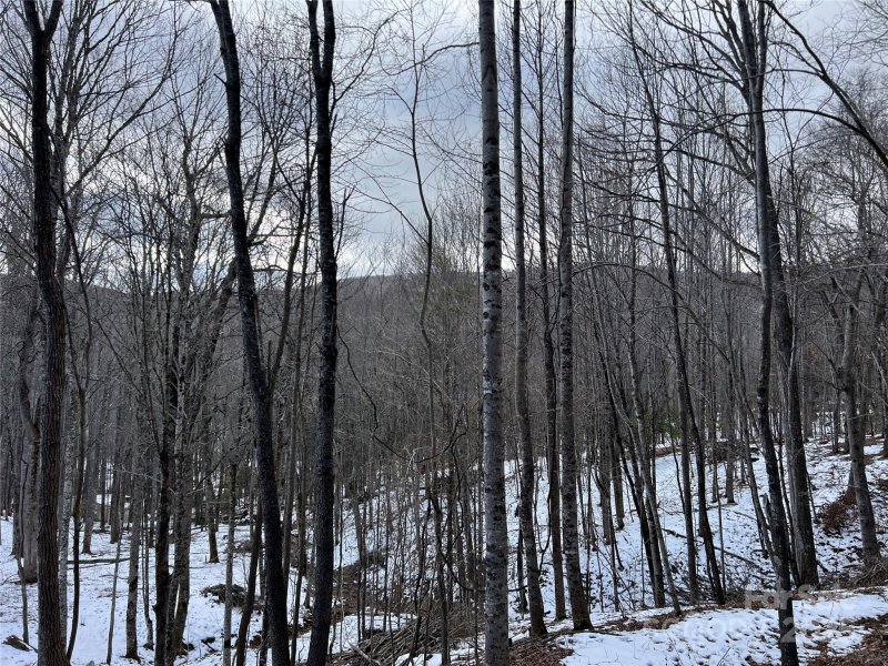 Property image 3 of Tbd Lot 3 Poplar Forest Drive in Poplar Forest, Boone, NC 28607