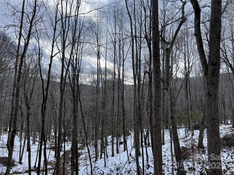 Property image 5 of Tbd Lot 3 Poplar Forest Drive in Poplar Forest, Boone, NC 28607