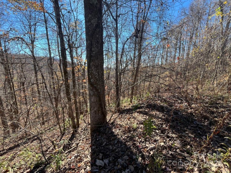 Property image 2 at Tbd Eastatoe Gap Road, Rosman, NC 28772