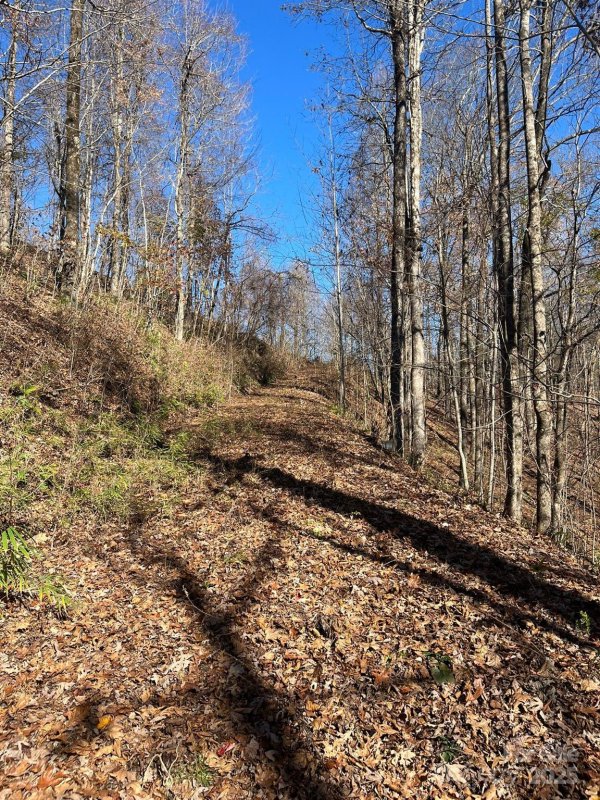 Property image 3 at Tbd Eastatoe Gap Road, Rosman, NC 28772