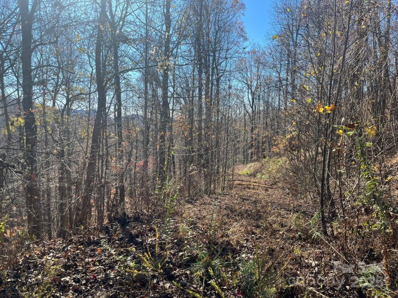Property image 4 at Tbd Eastatoe Gap Road, Rosman, NC 28772