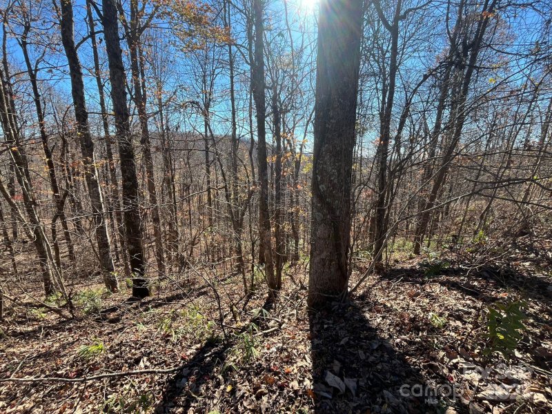 Property image 5 at Tbd Eastatoe Gap Road, Rosman, NC 28772