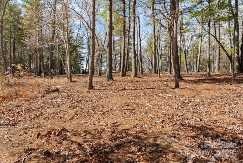 000 Cedar Hill Drive