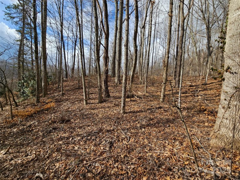 Property image 3 at 00 Timbercreek Heights, Maggie Valley, NC 28751
