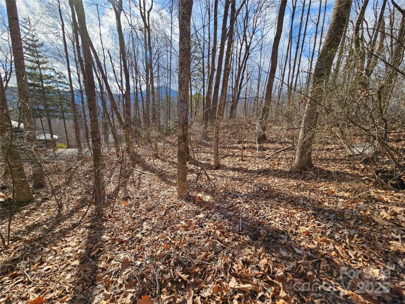 Property image 5 at 00 Timbercreek Heights, Maggie Valley, NC 28751