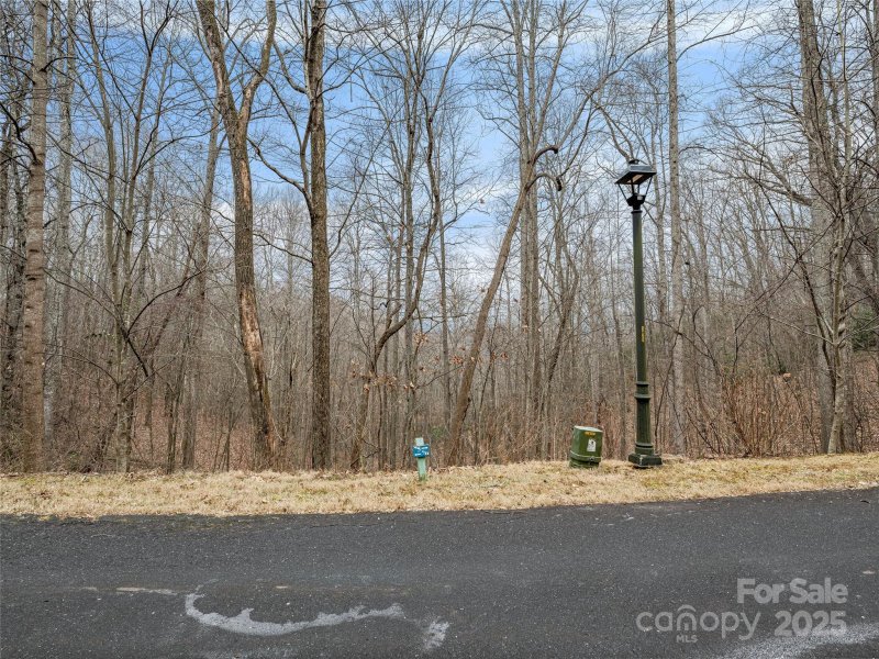 Property image 3 of 19 Mossy Rock Lane in Blue Mist Farms, Leicester, NC 28748