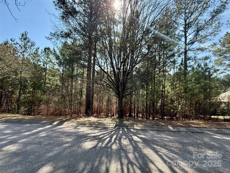 Property image 2 of 2809 Windswept Cove in Estates at Windswept Cove, York, SC 29745