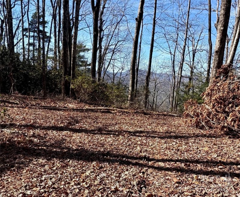 Property image 2 at Lot 13 Devils Hole Road, Rosman, NC 28772