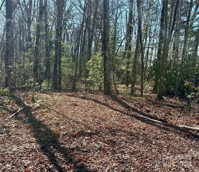 Property image 3 at Lot 13 Devils Hole Road, Rosman, NC 28772