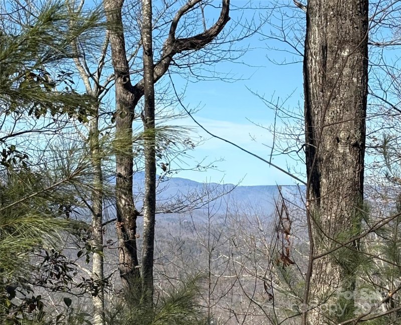 Property image 5 at Lot 13 Devils Hole Road, Rosman, NC 28772