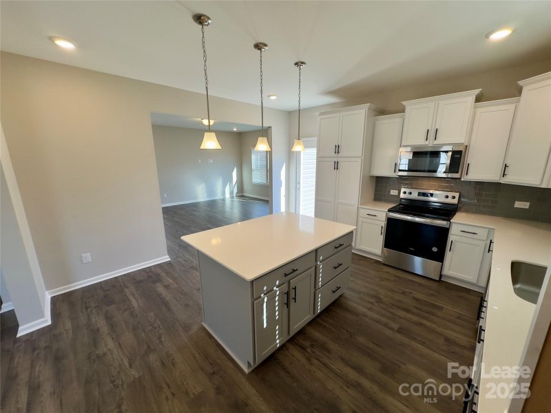 Property image 5 at 102 Carmine Court, Troutman, NC 28166