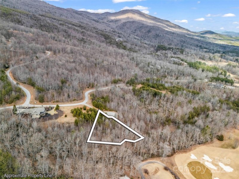 Property image 3 of 146 Wee Burn Cove in Brights Creek, Mill Spring, NC 28756