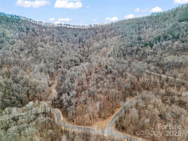 Property image 5 of 2128 Harm Creek Loop in Brights Creek, Mill Spring, NC 28756