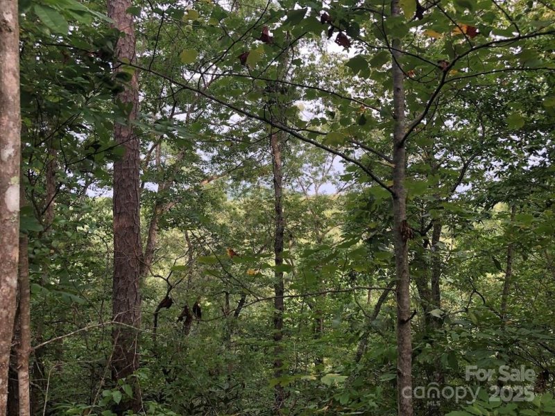 Property image 4 at 81 N Mill Ridge, Nebo, NC 28761