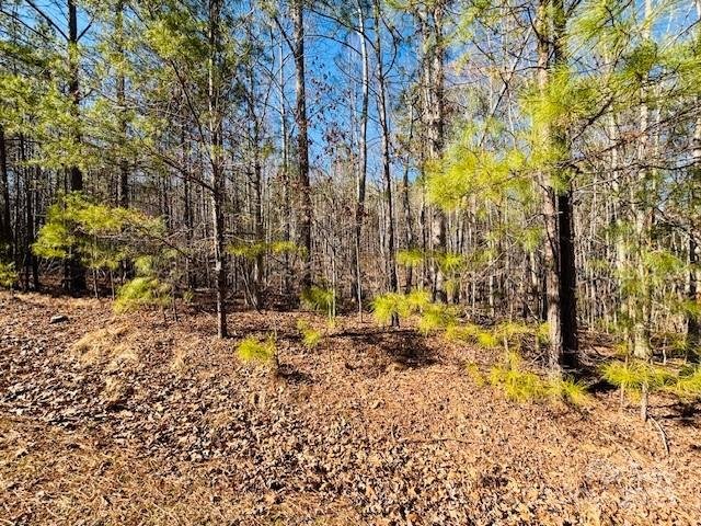 Property image 3 of 0 Creekside Circle in Clearwater Creek, Rutherfordton, NC 28139