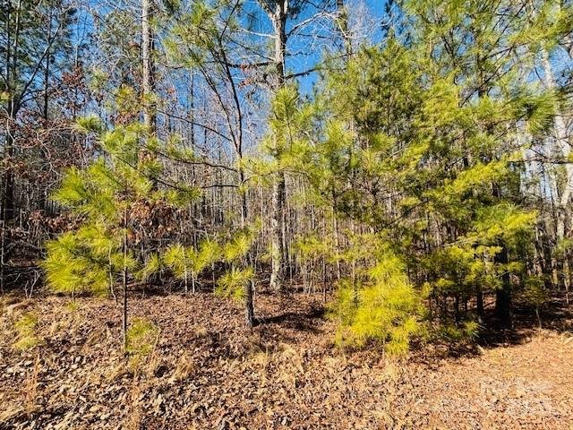 Property image 4 of 0 Creekside Circle in Clearwater Creek, Rutherfordton, NC 28139