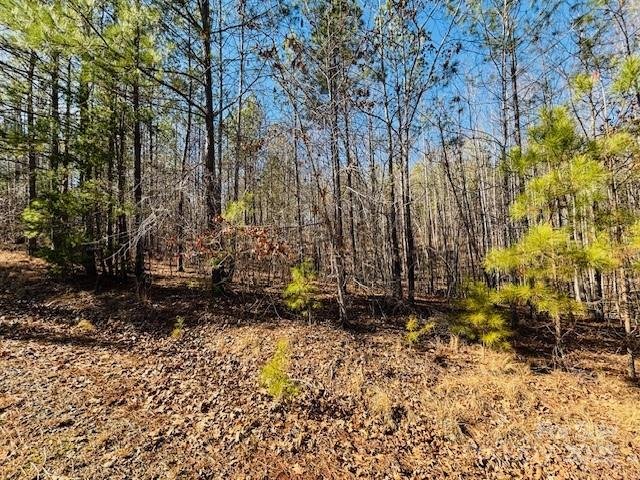 Property image 5 of 0 Creekside Circle in Clearwater Creek, Rutherfordton, NC 28139