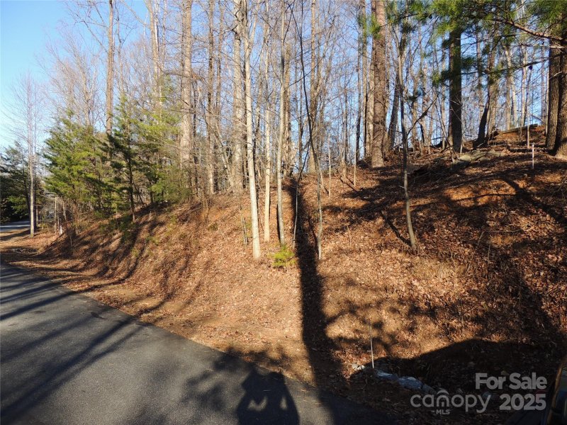 Property image 4 at 29 Summit Parkway, Bostic, NC 28018