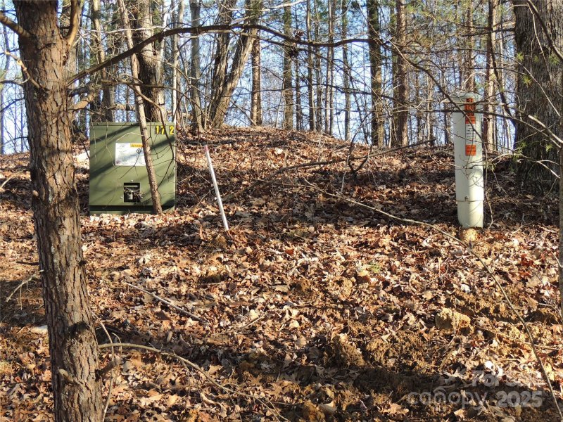 Property image 5 at 29 Summit Parkway, Bostic, NC 28018