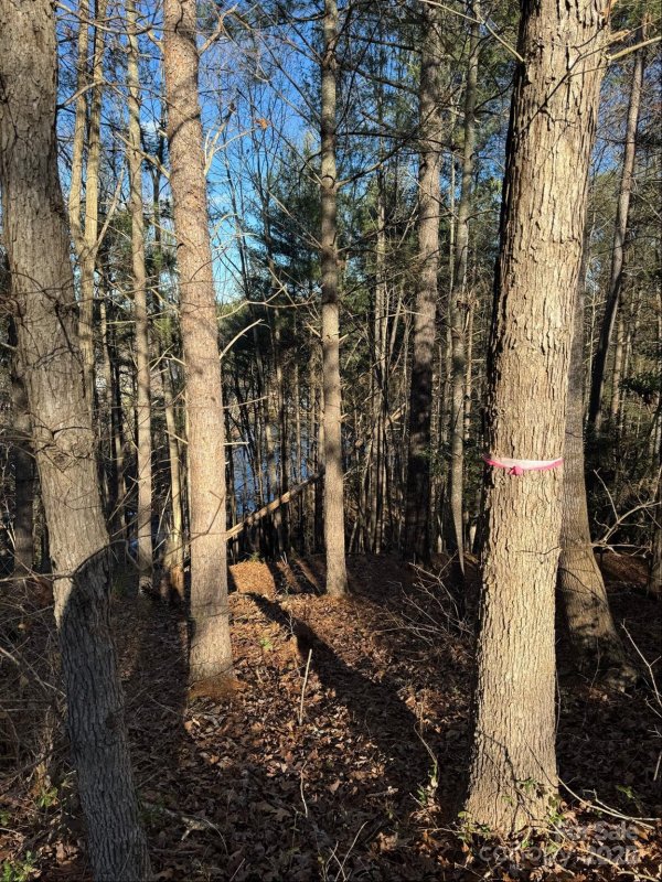 Property image 2 of 4836 Rio De Luna None in Crystal Falls, Hickory, NC 28601