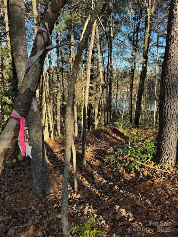 Property image 3 of 4836 Rio De Luna None in Crystal Falls, Hickory, NC 28601