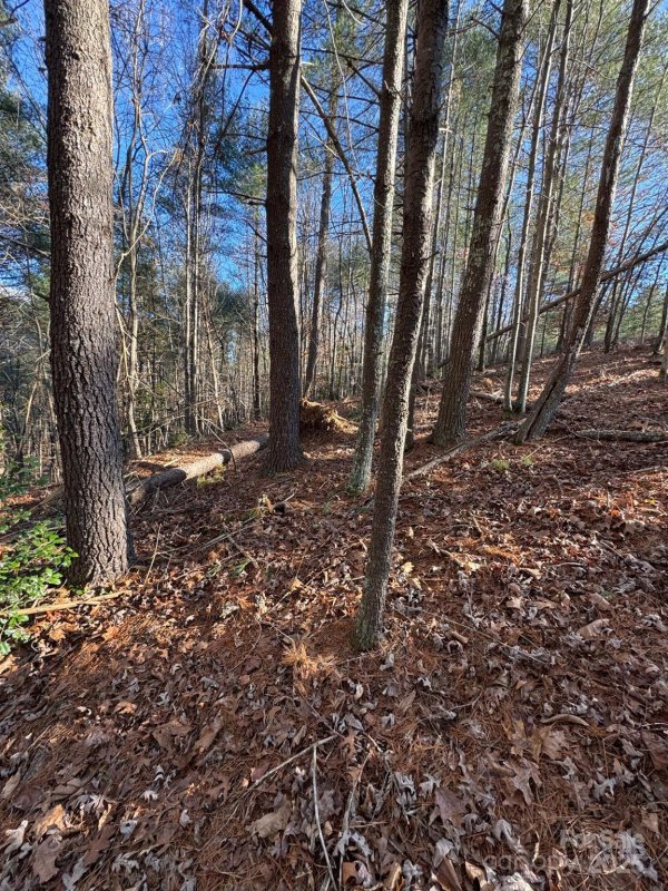 Property image 4 of 4836 Rio De Luna None in Crystal Falls, Hickory, NC 28601