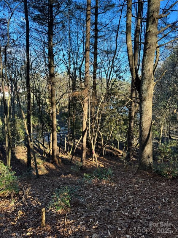 Property image 5 of 4836 Rio De Luna None in Crystal Falls, Hickory, NC 28601