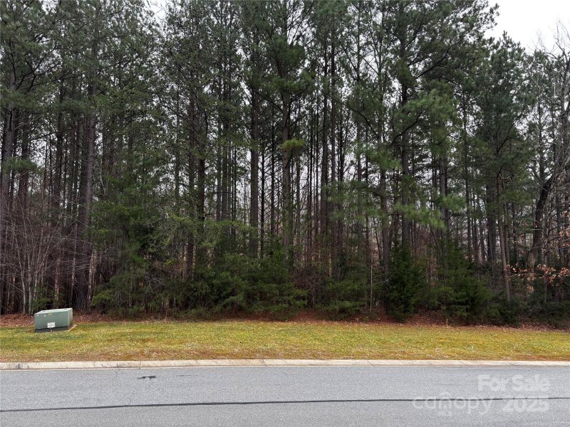 Property image 2 of 3012 Ashwood Park Drive in Reflection Pointe, Belmont, NC 28012