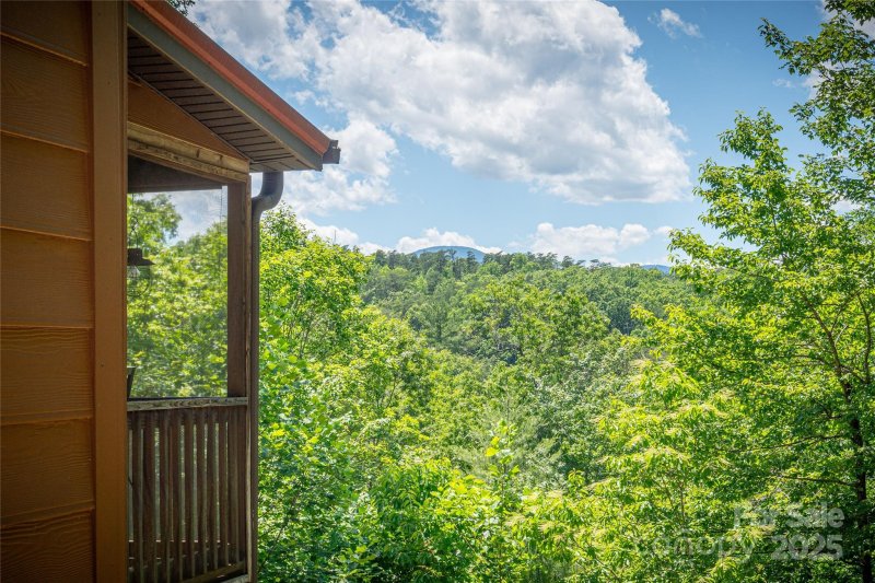 Property image 3 at 135 Grouse Street, Lake Lure, NC 28746