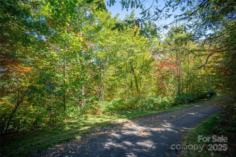 Property image 3 of 202 Nuthatch Lane in Upper Woodlands, Maggie Valley, NC 28751