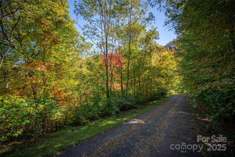 Property image 5 of 202 Nuthatch Lane in Upper Woodlands, Maggie Valley, NC 28751