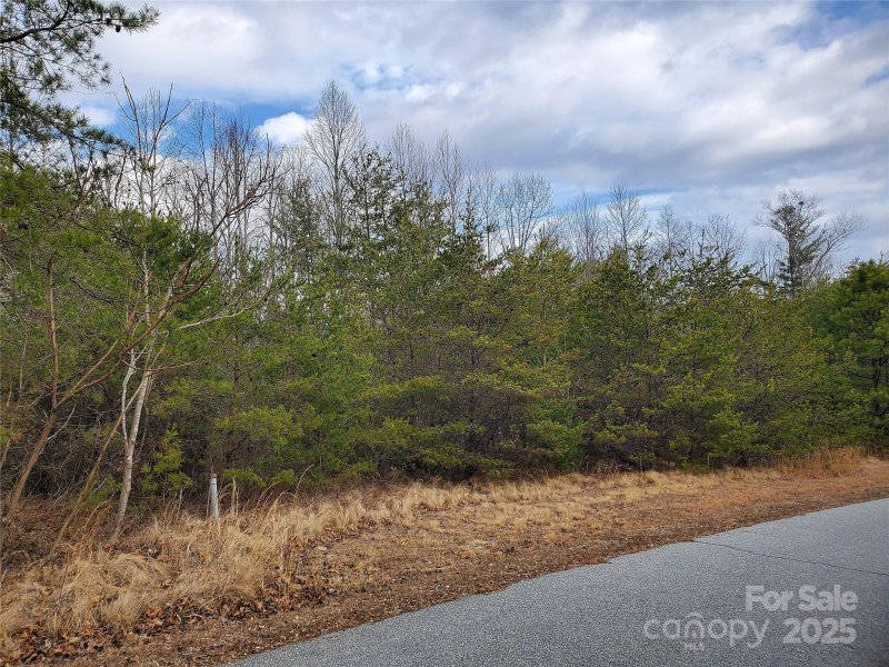 Property image 2 at 350 Summer Orchard Drive, Hendersonville, NC 28792