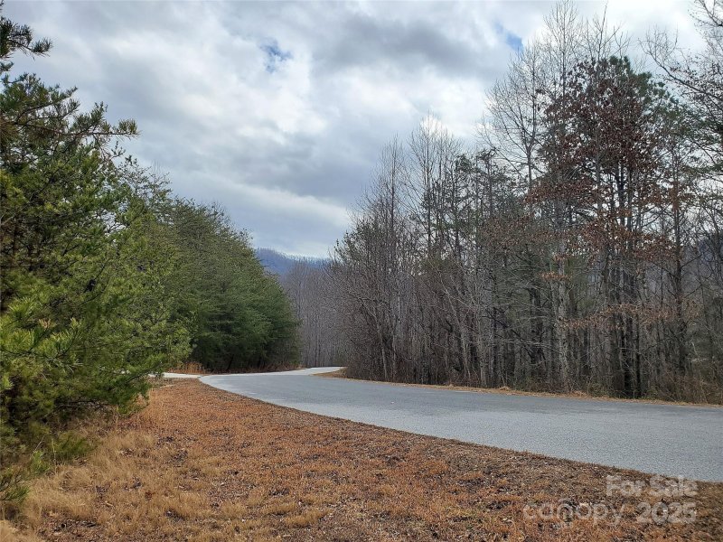 Property image 3 at 350 Summer Orchard Drive, Hendersonville, NC 28792