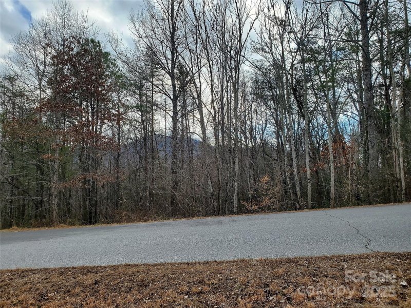 Property image 4 at 350 Summer Orchard Drive, Hendersonville, NC 28792