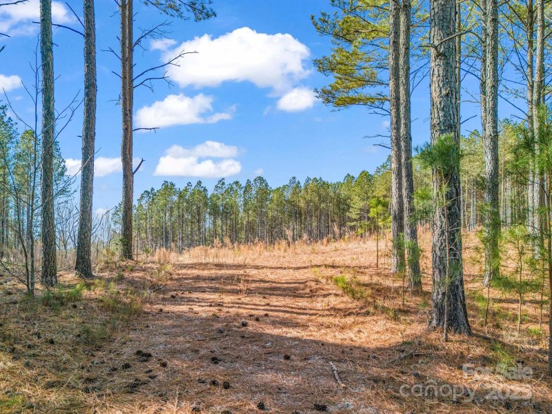 Property image 2 at 0 Moore Mountain Lane, Ellenboro, NC 28040