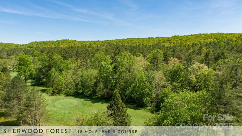 Property image 3 at 888 Cardinal Road, Brevard, NC 28712