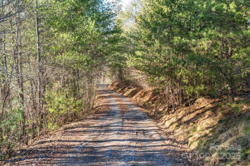 Property image 5 of 131 Ivy Bluff Road in Ivy River Bluffs, Marshall, NC 28753