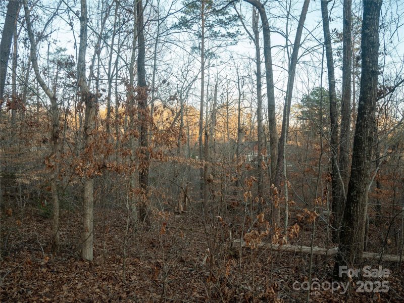 Property image 3 of 0 Plantation Drive in Cleghorn Plantation, Rutherfordton, NC 28139