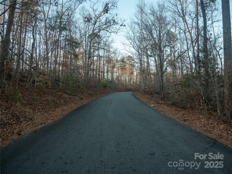 Property image 5 of 0 Plantation Drive in Cleghorn Plantation, Rutherfordton, NC 28139