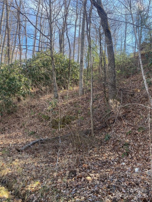 Property image 2 of 131 Eagles Eye Drive in Eagles View, Hendersonville, NC 28792