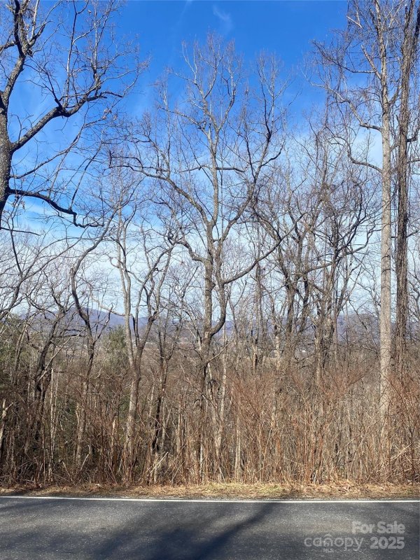 Property image 4 of 131 Eagles Eye Drive in Eagles View, Hendersonville, NC 28792