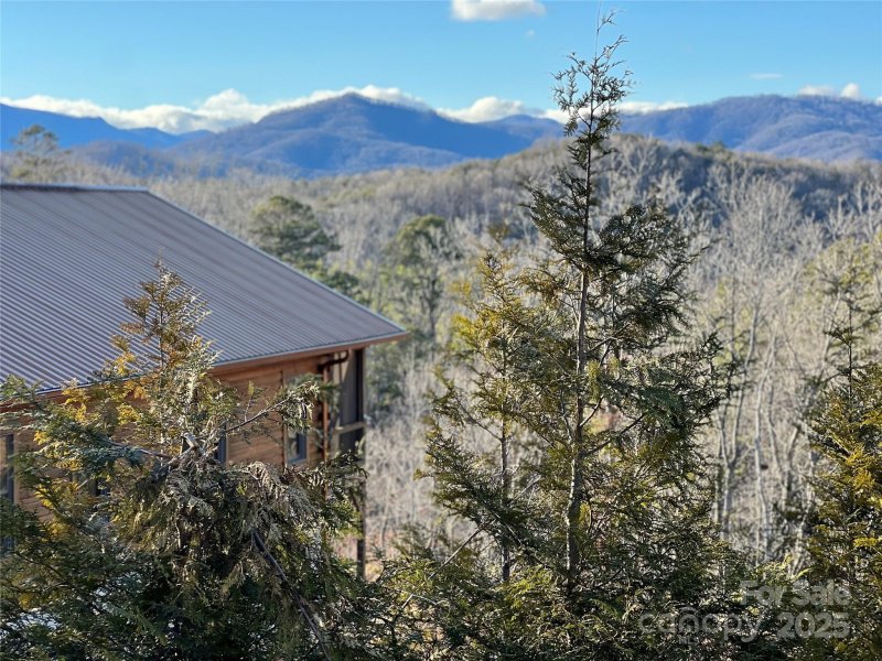 Property image 5 of 173 Shady Bark Lane in Ole Plantation, Rutherfordton, NC 28139