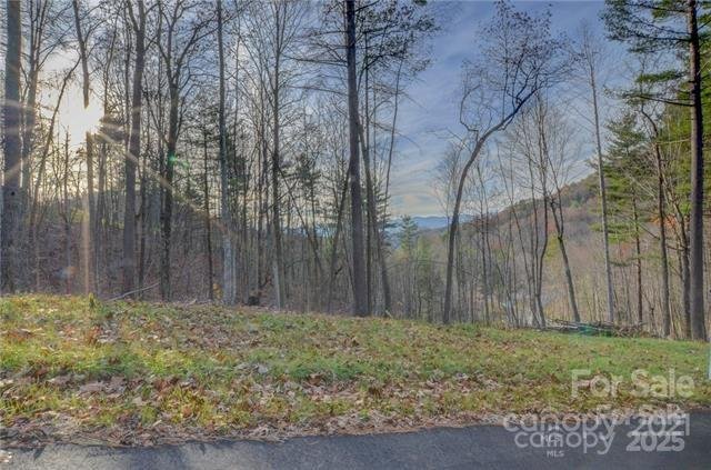 Property image 2 of 33 Bent Branch Lane in Ventana, Asheville, NC 28804